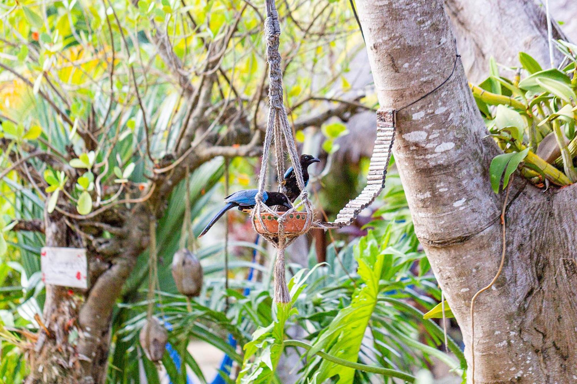 Zamunda Garden View Hotel Tulum Exterior foto