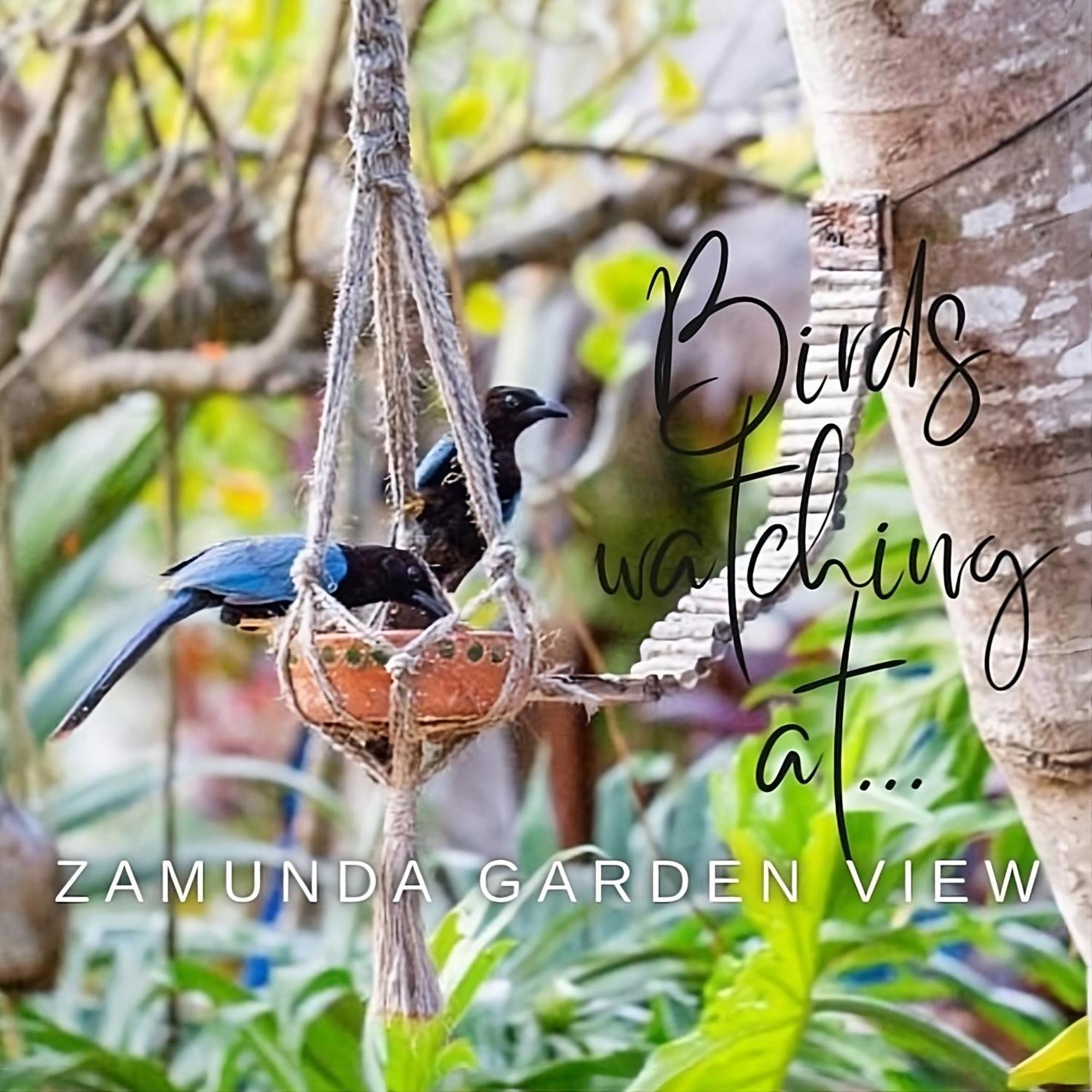 Zamunda Garden View Hotel Tulum Exterior foto